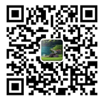 1654483325744053907.png